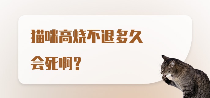 猫咪高烧不退多久会死啊？