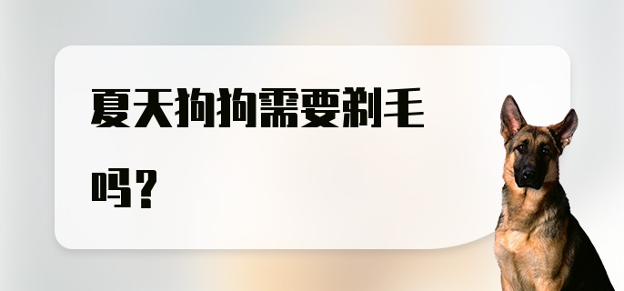 夏天狗狗需要剃毛吗？