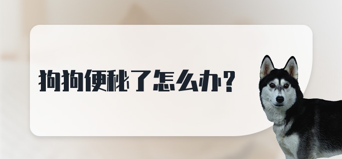 狗狗便秘了怎么办?