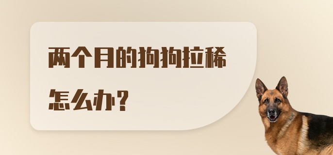 两个月的狗狗拉稀怎么办?