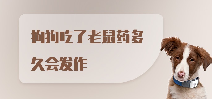 狗狗吃了老鼠药多久会发作