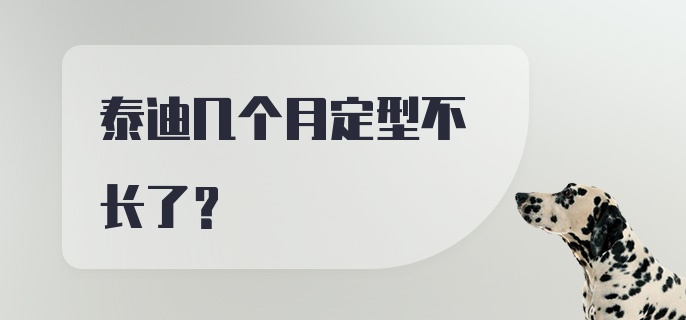 泰迪几个月定型不长了？