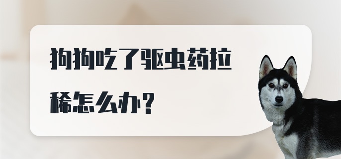 狗狗吃了驱虫药拉稀怎么办？