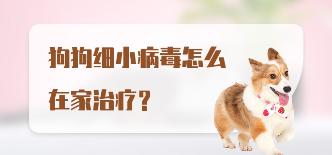 狗狗细小病毒怎么在家治疗？