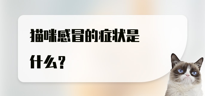 猫咪感冒的症状是什么？