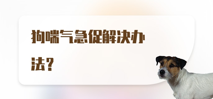 狗喘气急促解决办法？