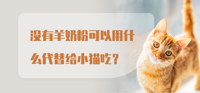 没有羊奶粉可以用什么代替给小猫吃？