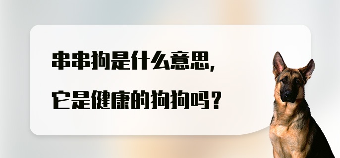 串串狗是什么意思，它是健康的狗狗吗？