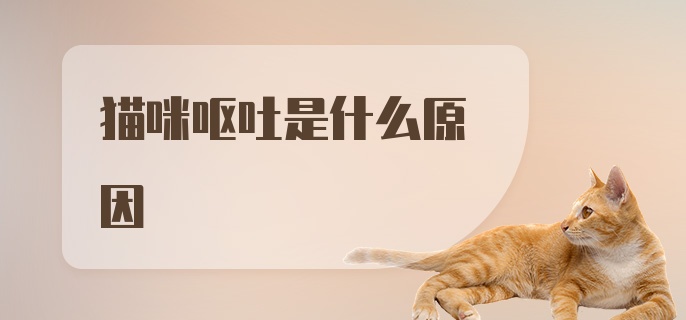 猫咪呕吐是什么原因