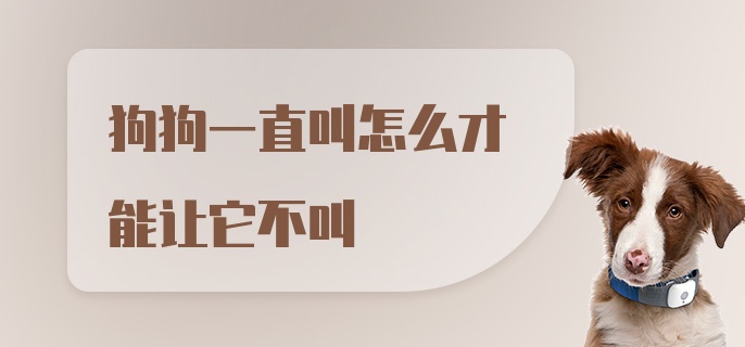 狗狗一直叫怎么才能让它不叫