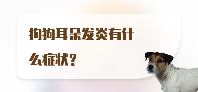 狗狗耳朵发炎有什么症状？