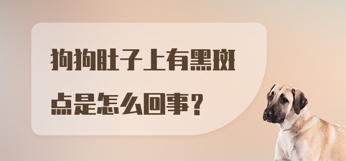 狗狗肚子上有黑斑点是怎么回事？