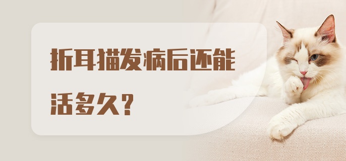 折耳猫发病后还能活多久？