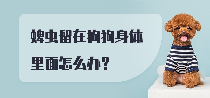 蜱虫留在狗狗身体里面怎么办？