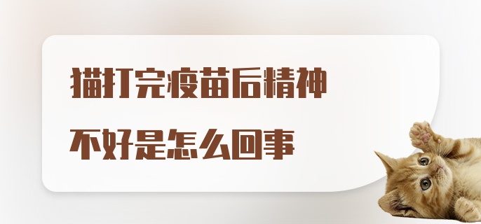 猫打完疫苗后精神不好是怎么回事