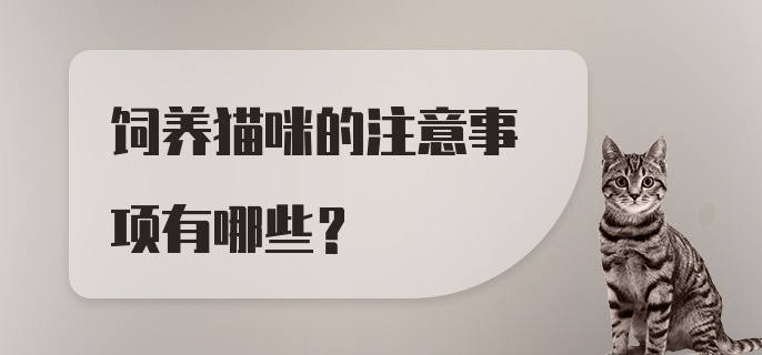 饲养猫咪的注意事项有哪些？