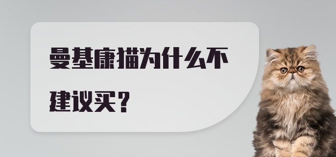 曼基康猫为什么不建议买？