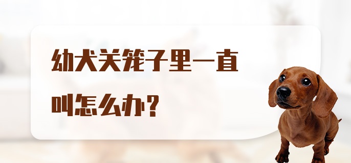 幼犬关笼子里一直叫怎么办？