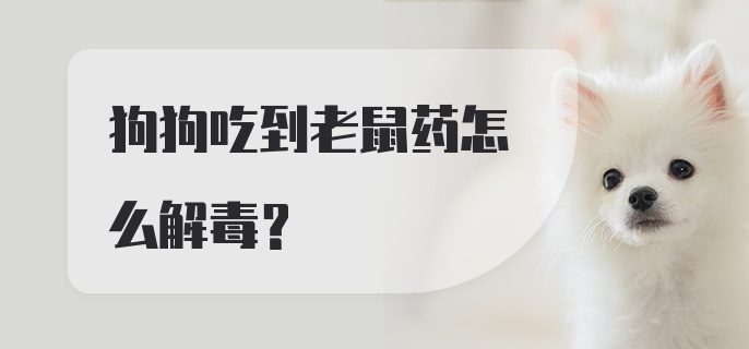 狗狗吃到老鼠药怎么解毒？