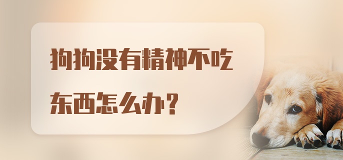 狗狗没有精神不吃东西怎么办？