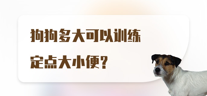 狗狗多大可以训练定点大小便？