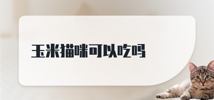 玉米猫咪可以吃吗