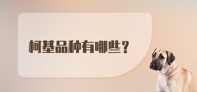 柯基品种有哪些？