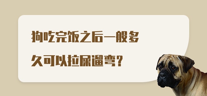 狗吃完饭之后一般多久可以拉屎遛弯？