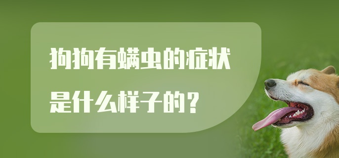 狗狗有螨虫的症状是什么样子的？