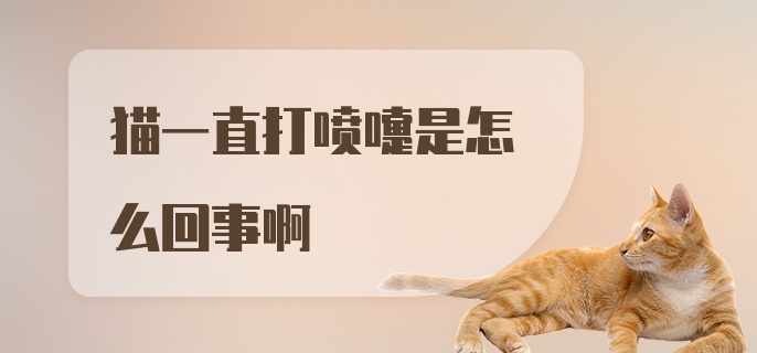 猫一直打喷嚏是怎么回事啊