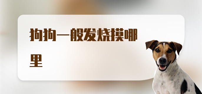 狗狗一般发烧摸哪里