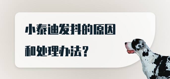 小泰迪发抖的原因和处理办法？