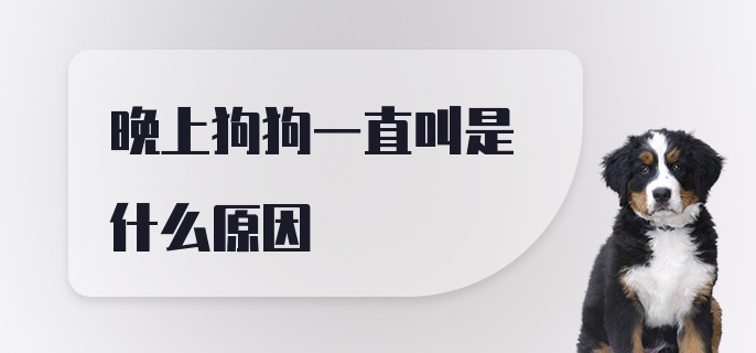 晚上狗狗一直叫是什么原因