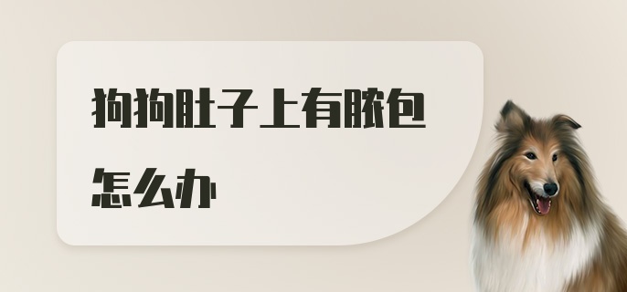 狗狗肚子上有脓包怎么办