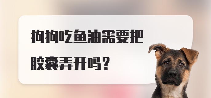 狗狗吃鱼油需要把胶囊弄开吗？