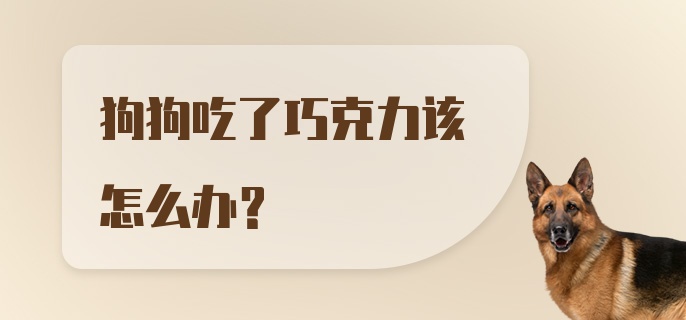 狗狗吃了巧克力该怎么办？