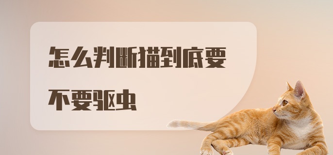 怎么判断猫到底要不要驱虫