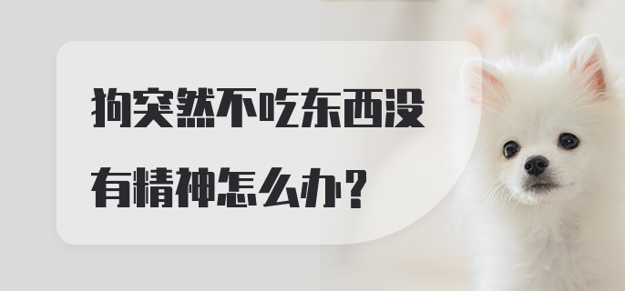 狗突然不吃东西没有精神怎么办？