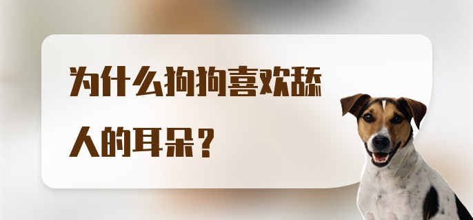 为什么狗狗喜欢舔人的耳朵？