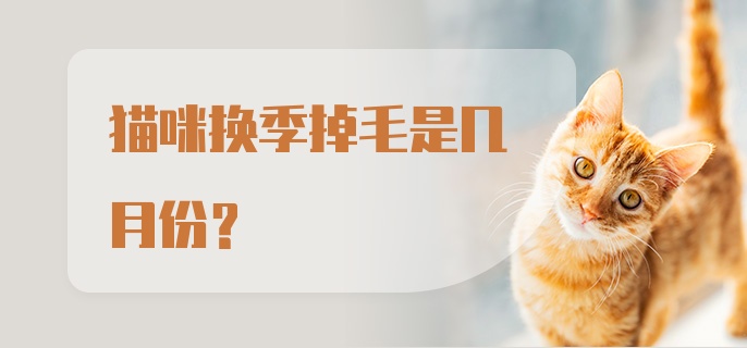 猫咪换季掉毛是几月份？