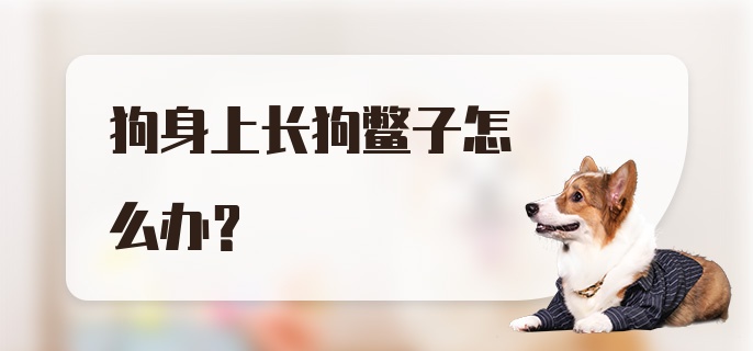 狗身上长狗鳖子怎么办？