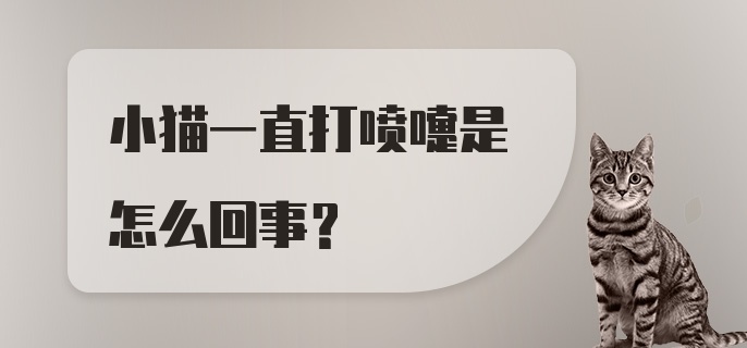 小猫一直打喷嚏是怎么回事？