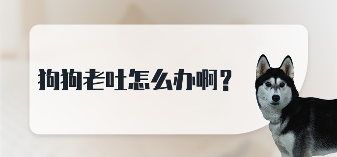 狗狗老吐怎么办啊？