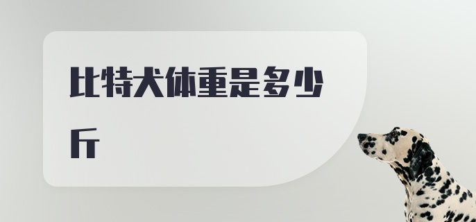 比特犬体重是多少斤