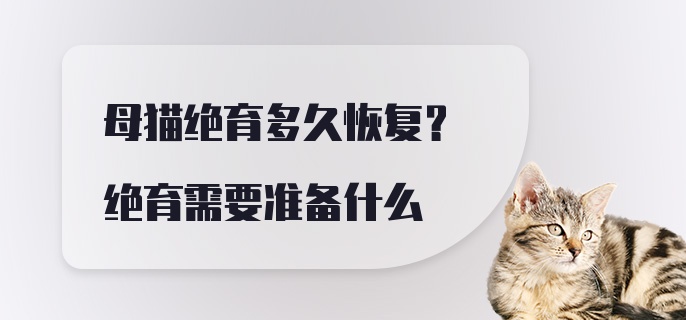 母猫绝育多久恢复？绝育需要准备什么