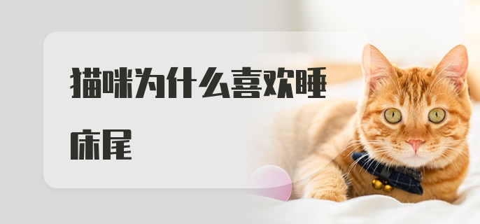 猫咪为什么喜欢睡床尾