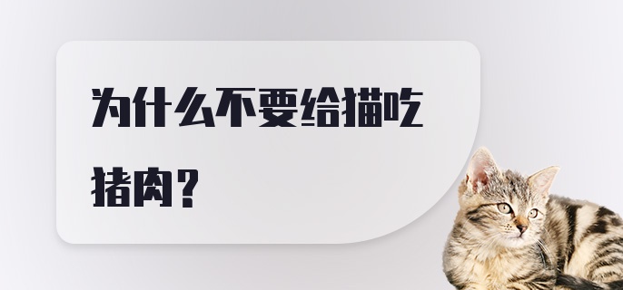 为什么不要给猫吃猪肉？