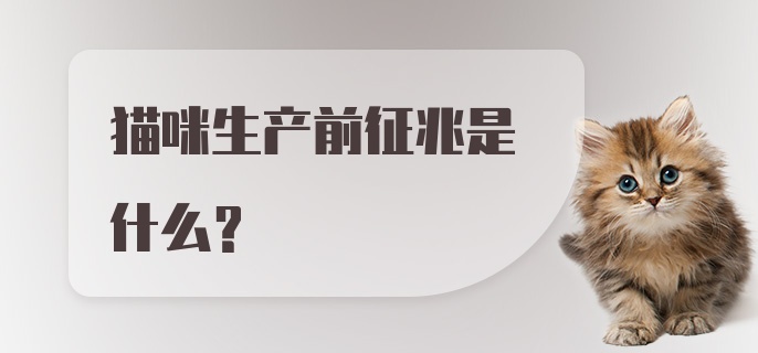 猫咪生产前征兆是什么?