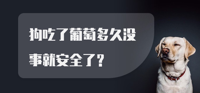 狗吃了葡萄多久没事就安全了？