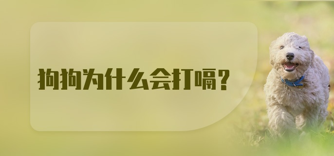 狗狗为什么会打嗝？